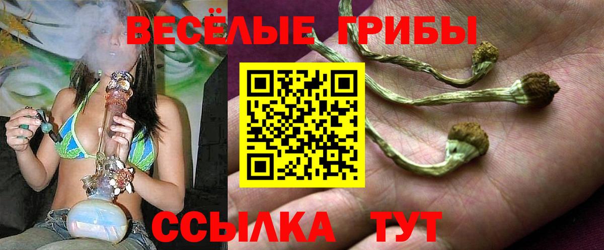 продажа наркотиков  Галлюциногенные грибы мухоморы  Казань  Галлюциногенные грибы MAGIC MUSHROOMS 