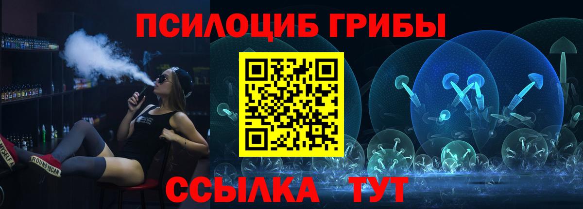 Галлюциногенные грибы Psilocybe Казань