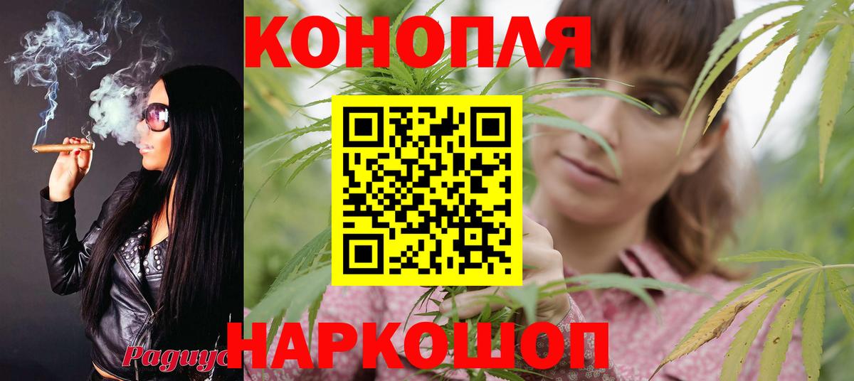 Бошки Шишки конопля Казань